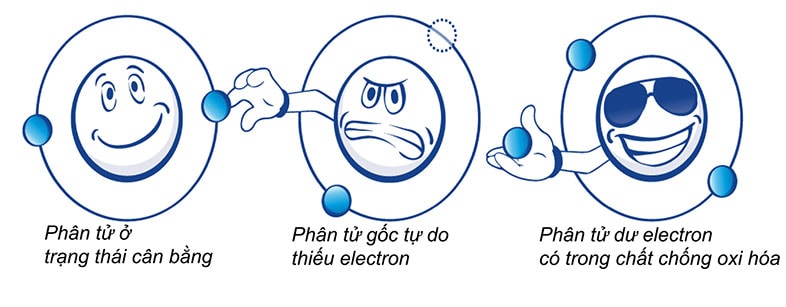 chi so orac cua toi den