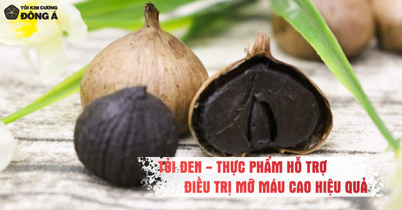 bệnh mỡ máu là gì