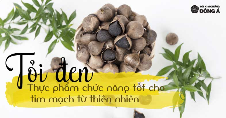 Tỏi đen - Thực phẩm chức năng tốt cho tim mạch từ thiên nhiên