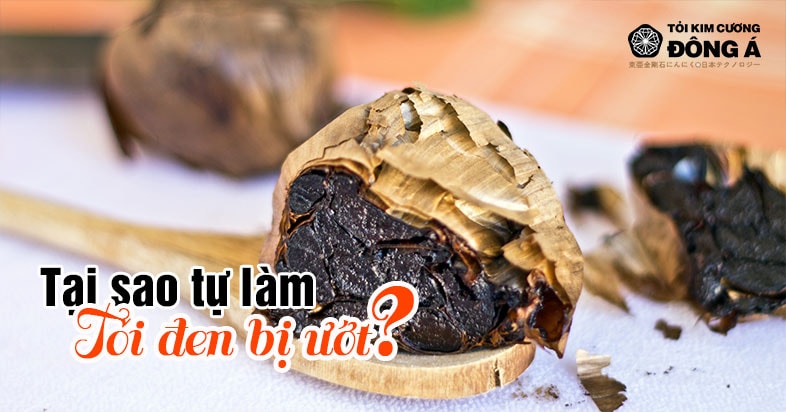 Tại sao tự làm Tỏi đen bị ướt?