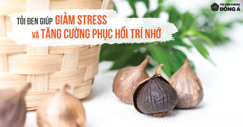 Tỏi đen - Giảm stress - Tăng cường phục hồi trí nhớ