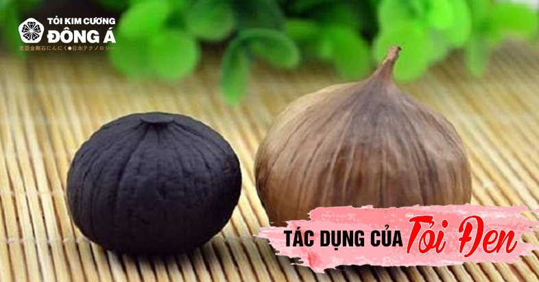 tỏi đen giúp tăng cường miễn dịch