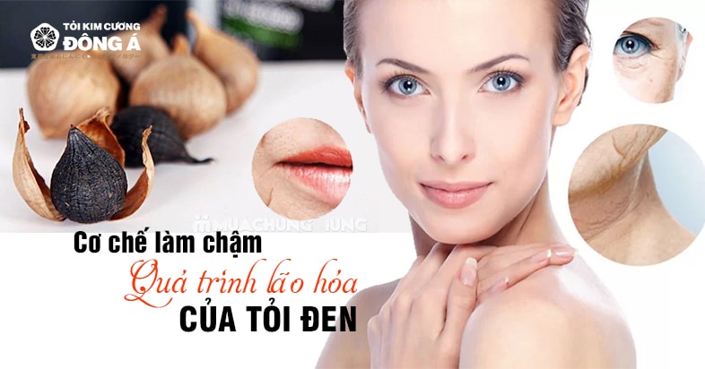 tỏi đen làm chậm lão hóa