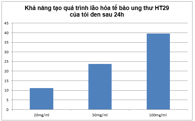 tác dụng của Tỏi đen trong điều trị ung thư đại tràng